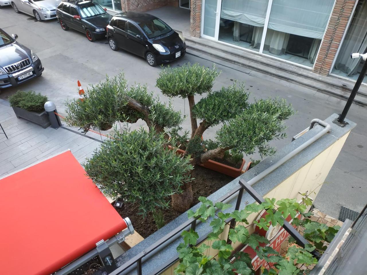Hotel Lions Tiflis Dış mekan fotoğraf